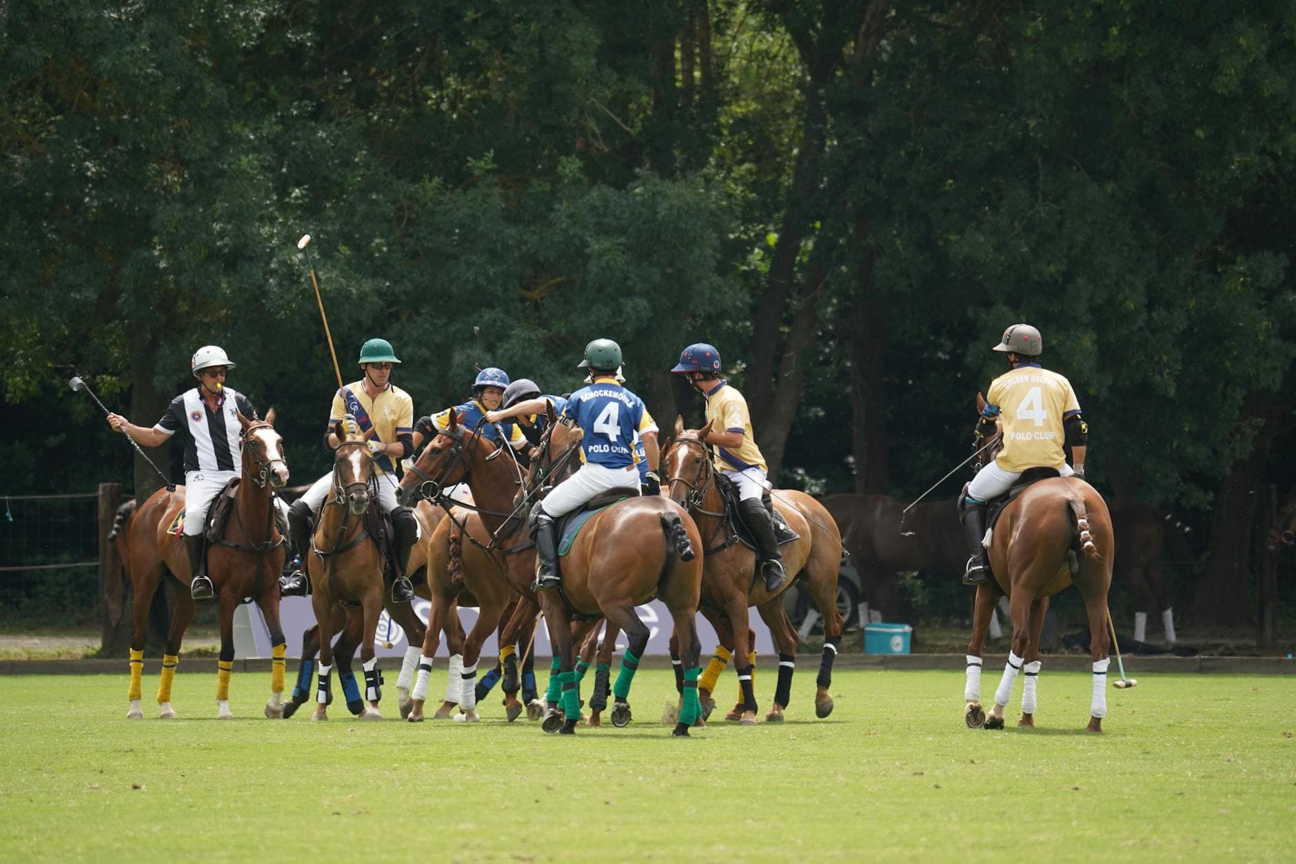 Dart Polo, equestrian venue in Gainsborough, Lincolnshire