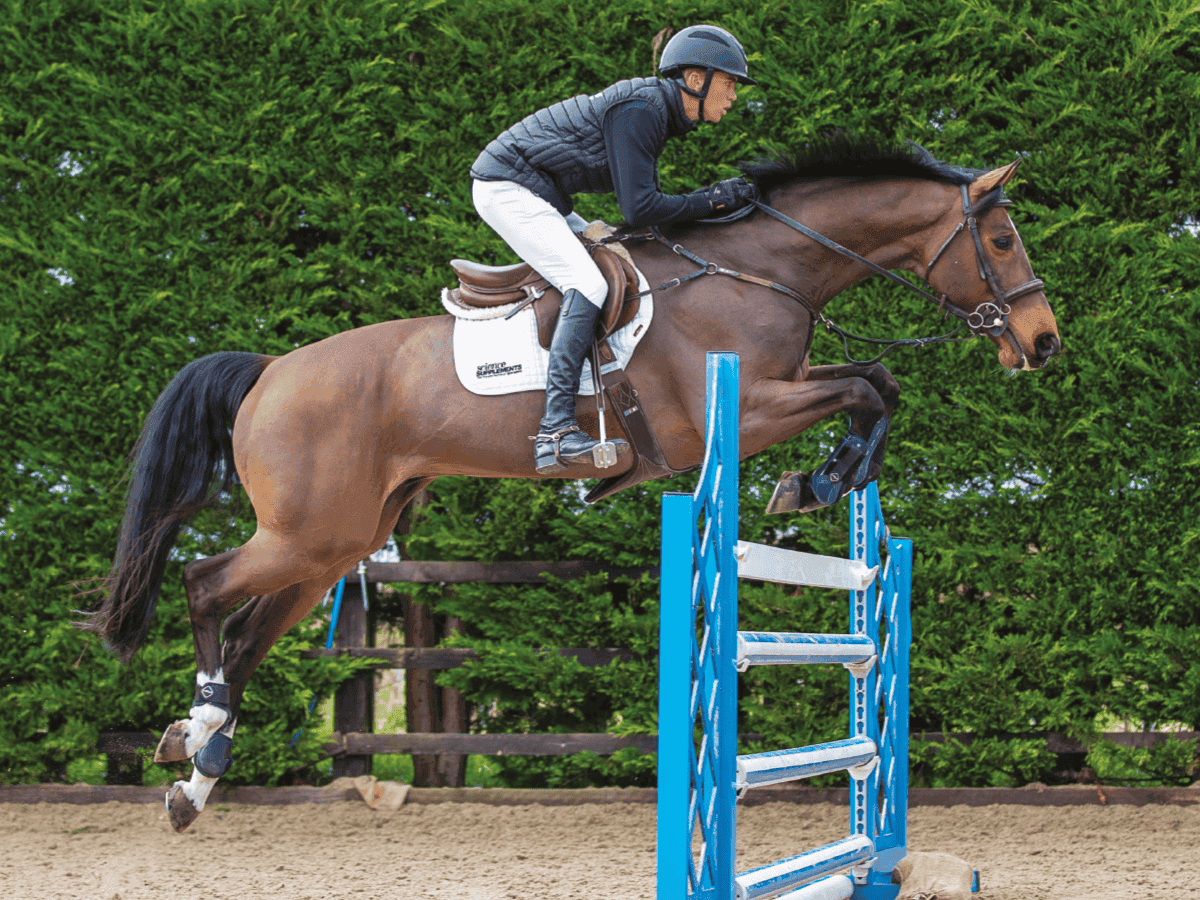 Rider jumping a course at a UK equestrian centre