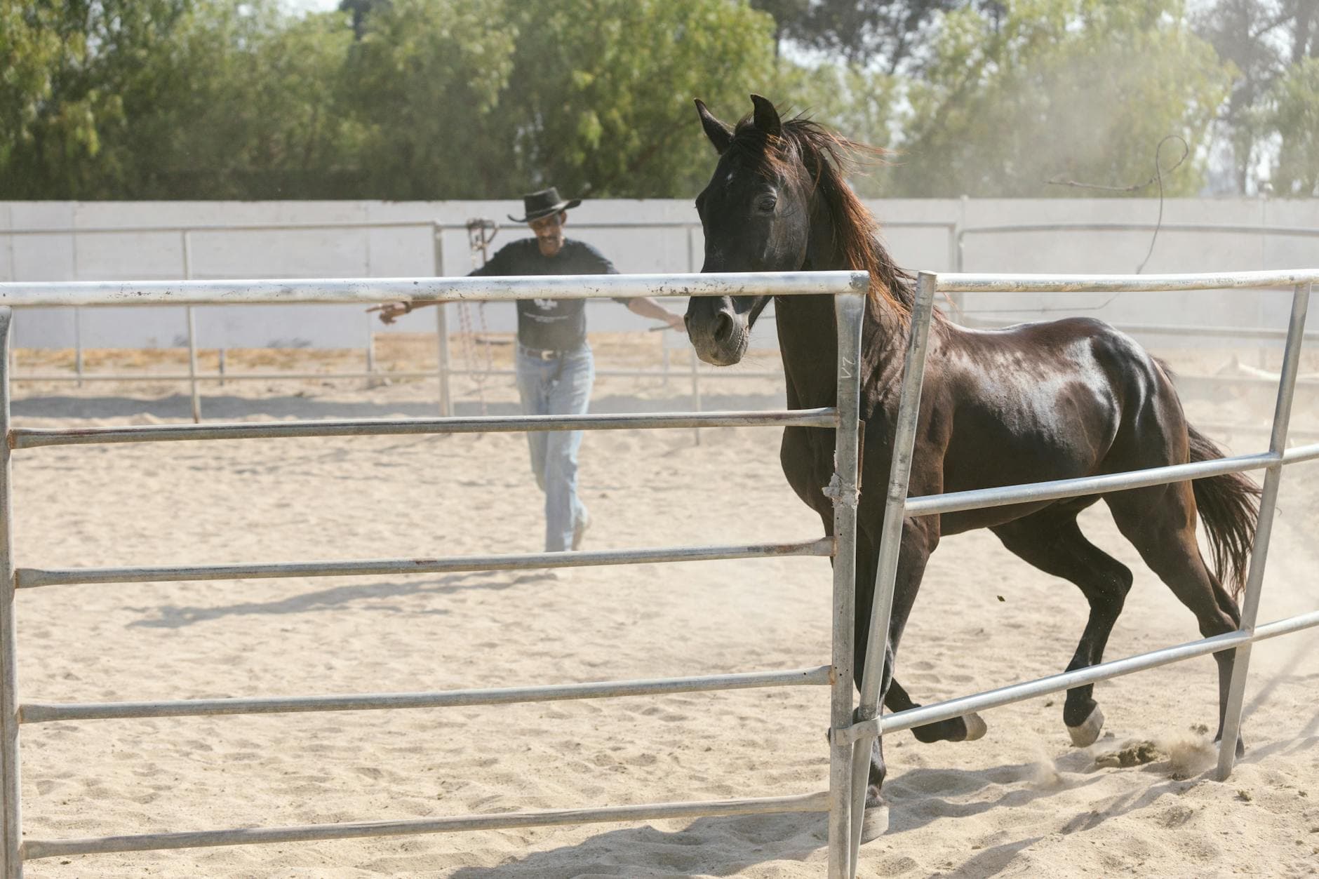 The London Horseplay Centre, equestrian venue in Barnet, Greater London